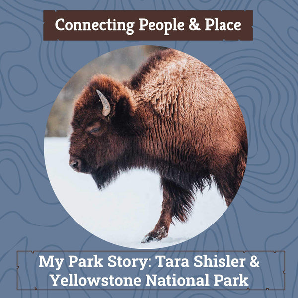 Xplorer Maps Blog - My Park Story Fun at Yellowstone National Park with image of Bison in snow