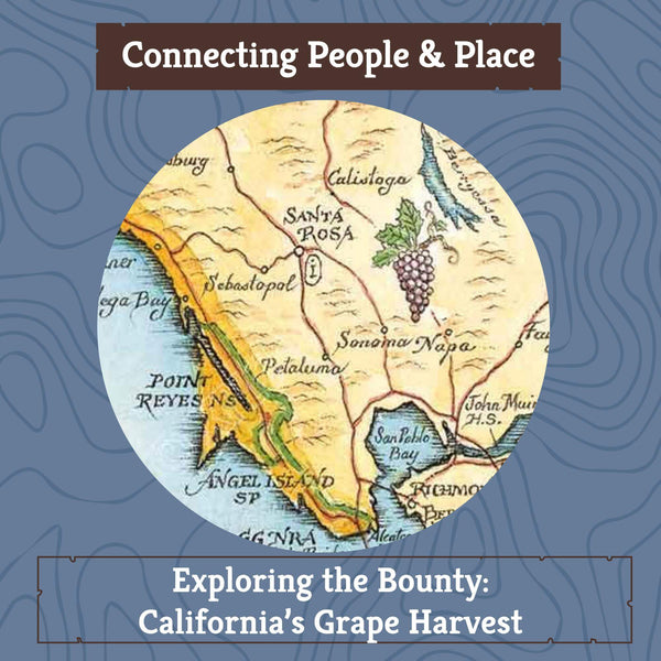 Xplorer Maps blog "Exploring the Bounty: California's Grape Harvest" with background image of a close up of Napa Valley on Xplorer Maps hand-drawn map of California.