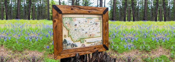 Montana Framed Hand-Drawn Map sitting in a forrest of pine trees and wildflowers..