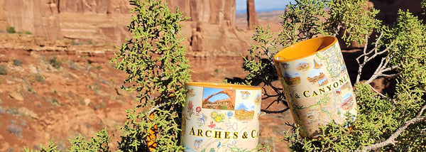 Two Arches and Canyonlands ceramic mug by Xplorer Maps. The coffee cup are sitting in a tree in Arches and Canyonlands National Park. 