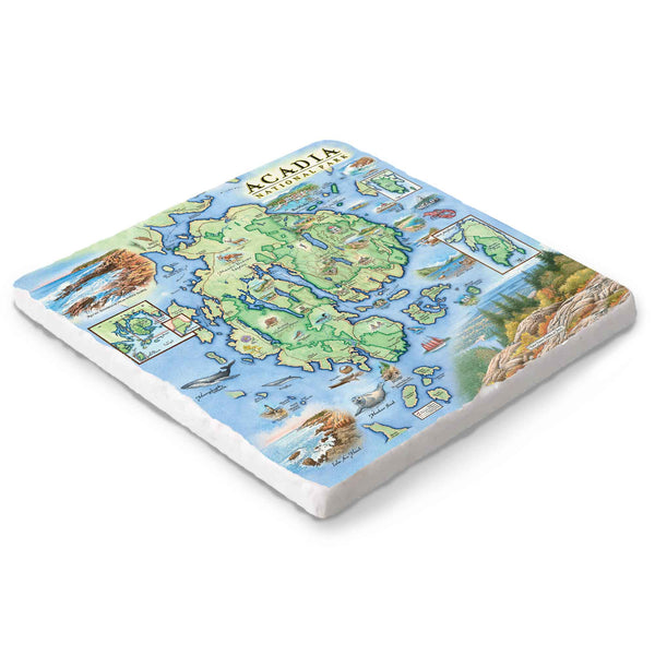 Acadia National Park 6x6 natural stone trivet by Xplorer Maps featuring hand-drawn map and wildlife art on Boccini marble with cork backing.