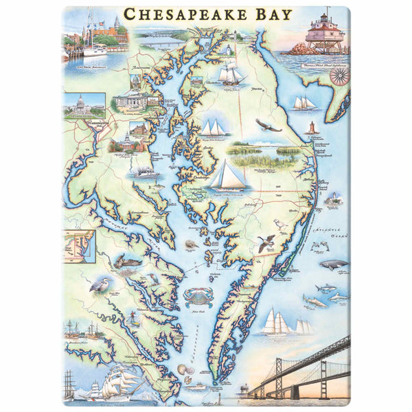 Delightful Chesapeake Bay magnet featuring local attractions, capturing the essence of this iconic region. From historic lighthouses and charming waterfront towns to abundant wildlife and scenic landscapes, this magnet celebrates the beauty and diversity of the Chesapeake Bay area.