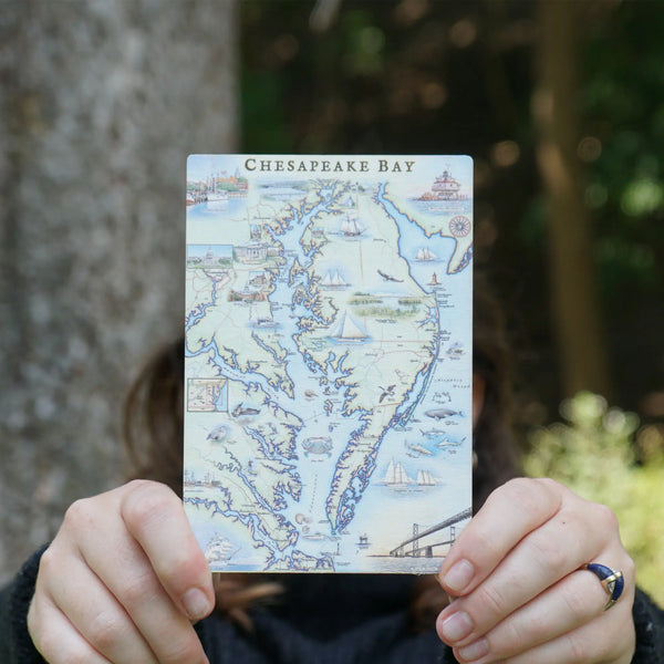 Person holding a Chesapeake Bay wooden postcard in a forest, showcasing hand-drawn map art with regional landmarks and wildlife.