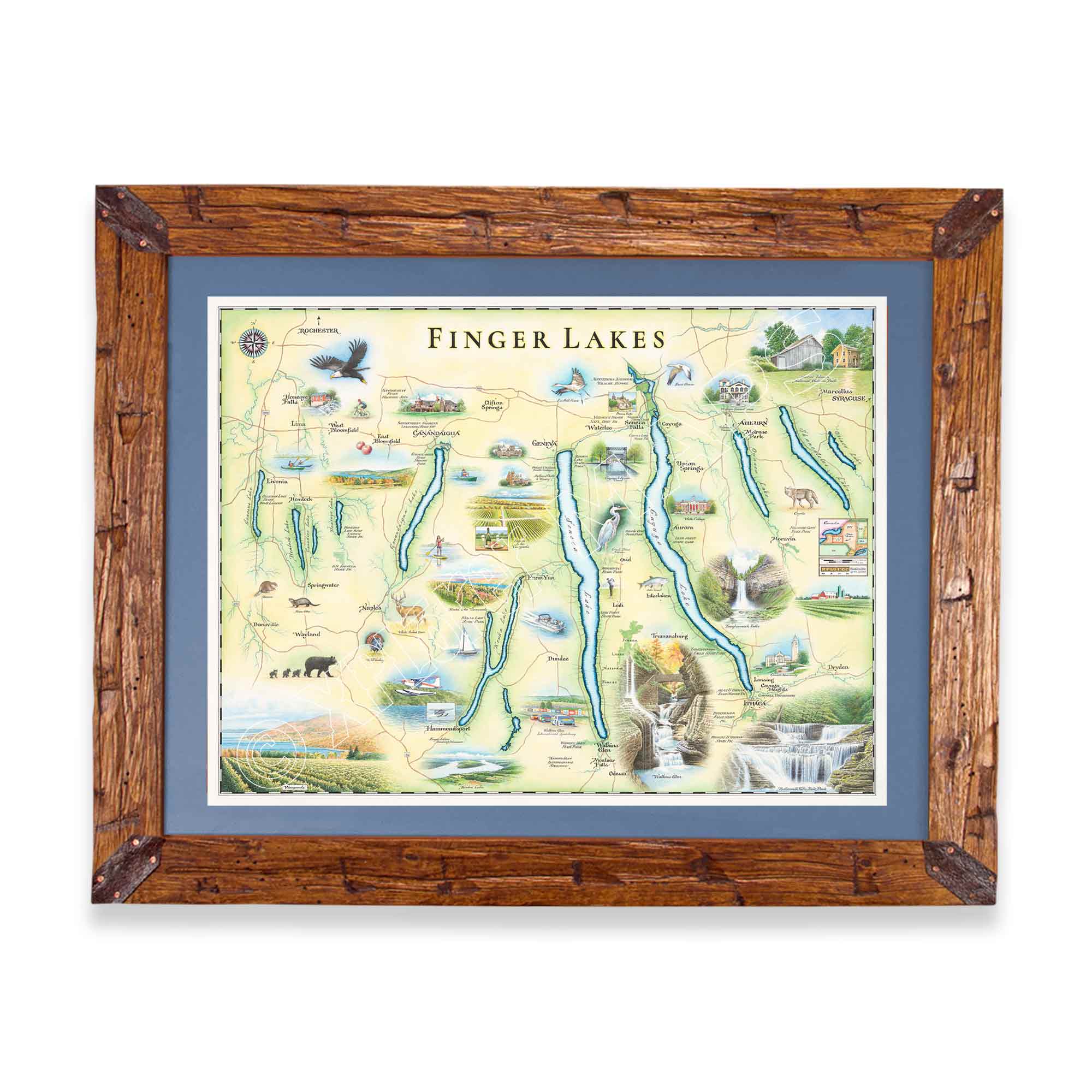 Finger Lakes hand drawn map in greens and blues. The map features Ithaca, Glen Watkins, Syracuse, and Rochester. Waterfalls, bald eagles, Deer and black bear are featured on the map. The map is frames in Montana scraped pine in a blue mat.