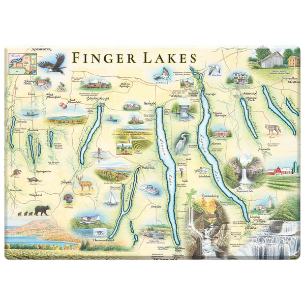 New York's Finger Lakes Magnets, featuring the exquisite beauty of New York State's Finger Lakes region, including Canandaigua, Keuka, Seneca, Cayuga, and Skaneateles Lakes. Seneca is the largest, while Keuka has a distinctive Y-shape. Charming towns like Skaneateles and wine trails around Seneca and Cayuga Lakes add to the region's allure.