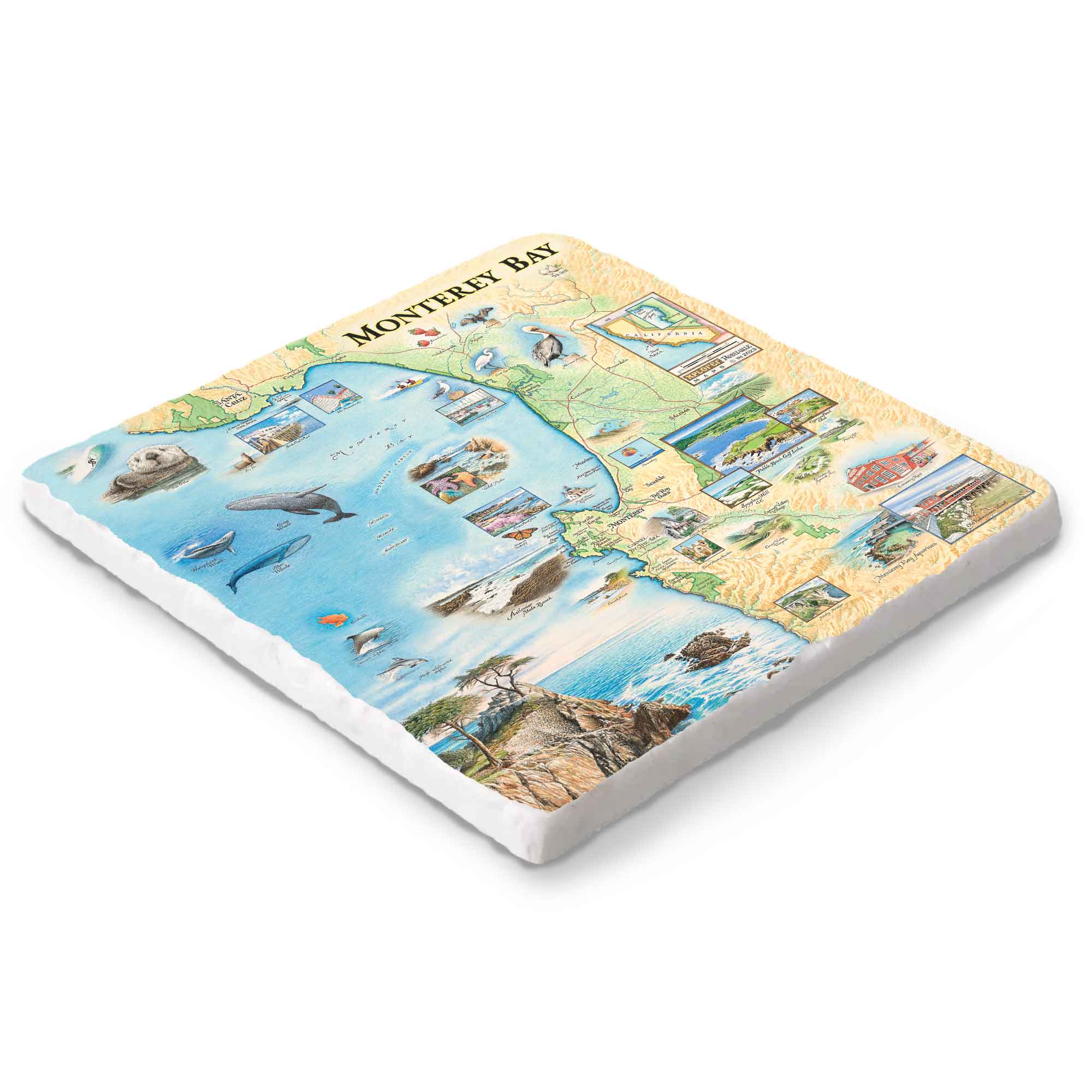 Illustrated Monterey Bay map on 6x6 marble trivet by Xplorer Maps.