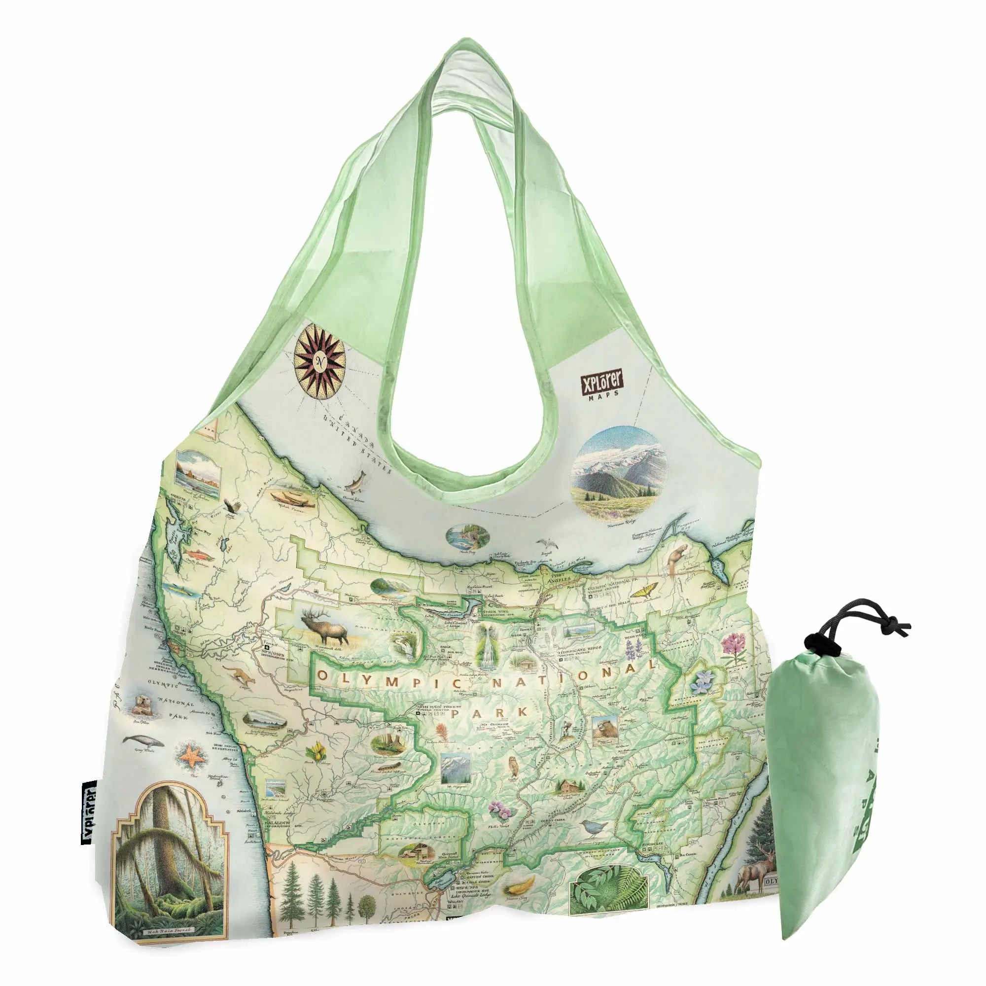 Olympic National Park Map Canvas Tote Bags by Xplorer Maps. The map features illustrations of the park such as Enchanted Valley Chalet, Sol Duc Hot Springs Resort, Hurricane Ridge Visitor Center, and Kalaloch Lodge. Flora and fauna include sea otters, Roosevelt elk, Chinook salmon, skunk cabbage, and Flett's Violet.