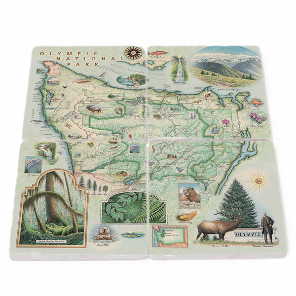 Image: Olympic National Park stone coasters featuring popular attractions like Hurricane Ridge, Hoh Rainforest, Neah Bay, and Mount Olympus, amidst the lush flora including towering evergreen trees, ferns, and moss-covered forests, alongside diverse fauna such as Roosevelt elk, banana slugs, sea otters, and bald eagles.