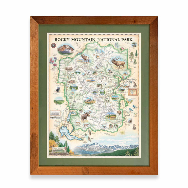 Hand-drawn map of Rocky Mountain National Park in a larch frame with green mat, showcasing earth tones of green and beige. Illustrations feature landmarks such as Trail Ridge Road, Mount Ganby, Estes Park, and Alpine Visitor Center, alongside flora and fauna like bobcat, snowshoe hare, Indian paintbrush, and wild rose. Dimensions: 18x24 inches.