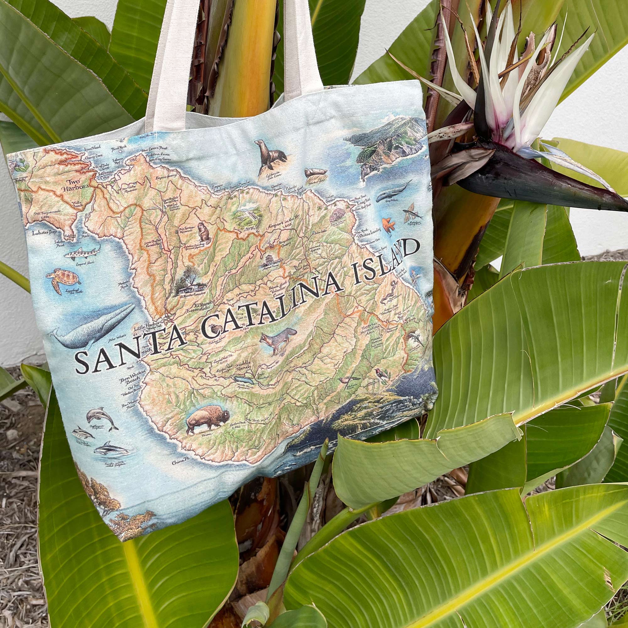 California's Santa Catalina Island canvas tote bag by Xplorer Maps. The Tote bag is hanging on a palm next to a bird of paradise.