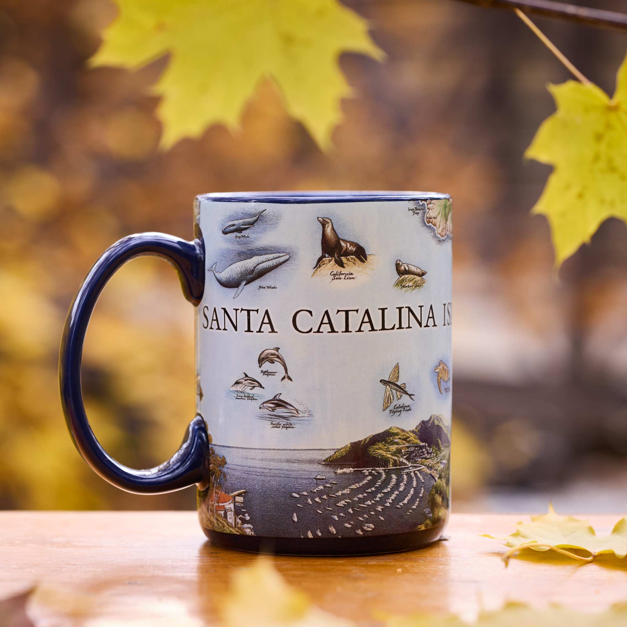 Mug Bundle – 4 for $65 | Hand-Drawn Ceramic Mugs | Xplorer Maps