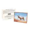 Wildlife Notecards - Sets of 6
