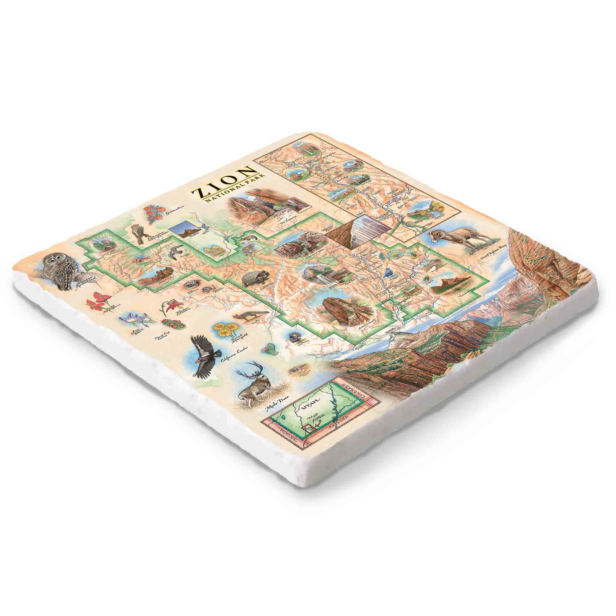 Hand-drawn Zion National Park map on a 4x4 natural stone trivet by Xplorer Maps
.