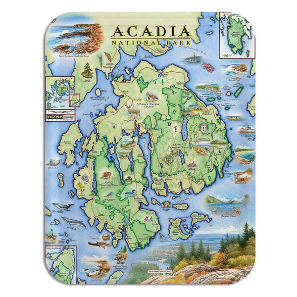 A handcrafted birchwood serving tray featuring a hand-illustrated map of Acadia National Park by artist Chris Robitaille, with a durable matte melamine finish.
