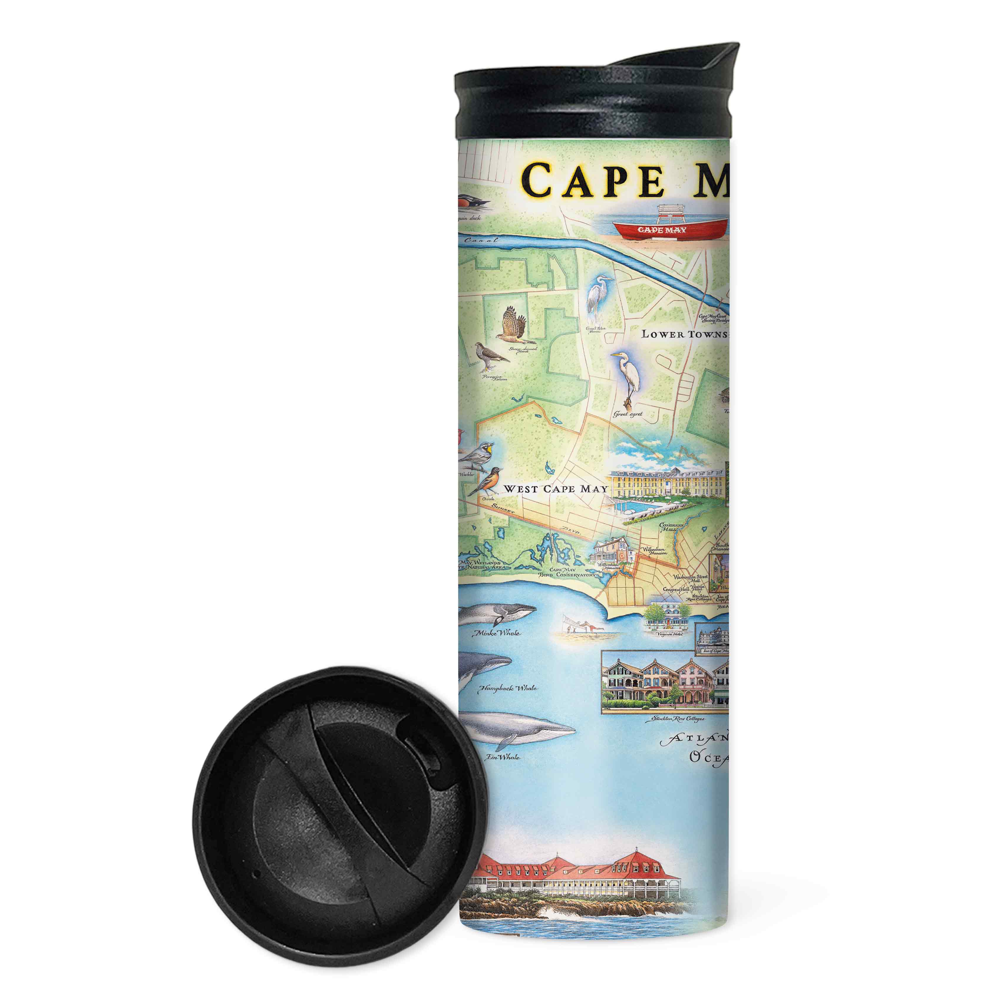 New Jersey's Cape May Map Travel Drinkware. The map features heron and whale species. Map features Cape May, Lower Township, and West Cape May. Cape May Harbor, Congress Hall, Washington St. Mall, and Cape May Bird Observatory.