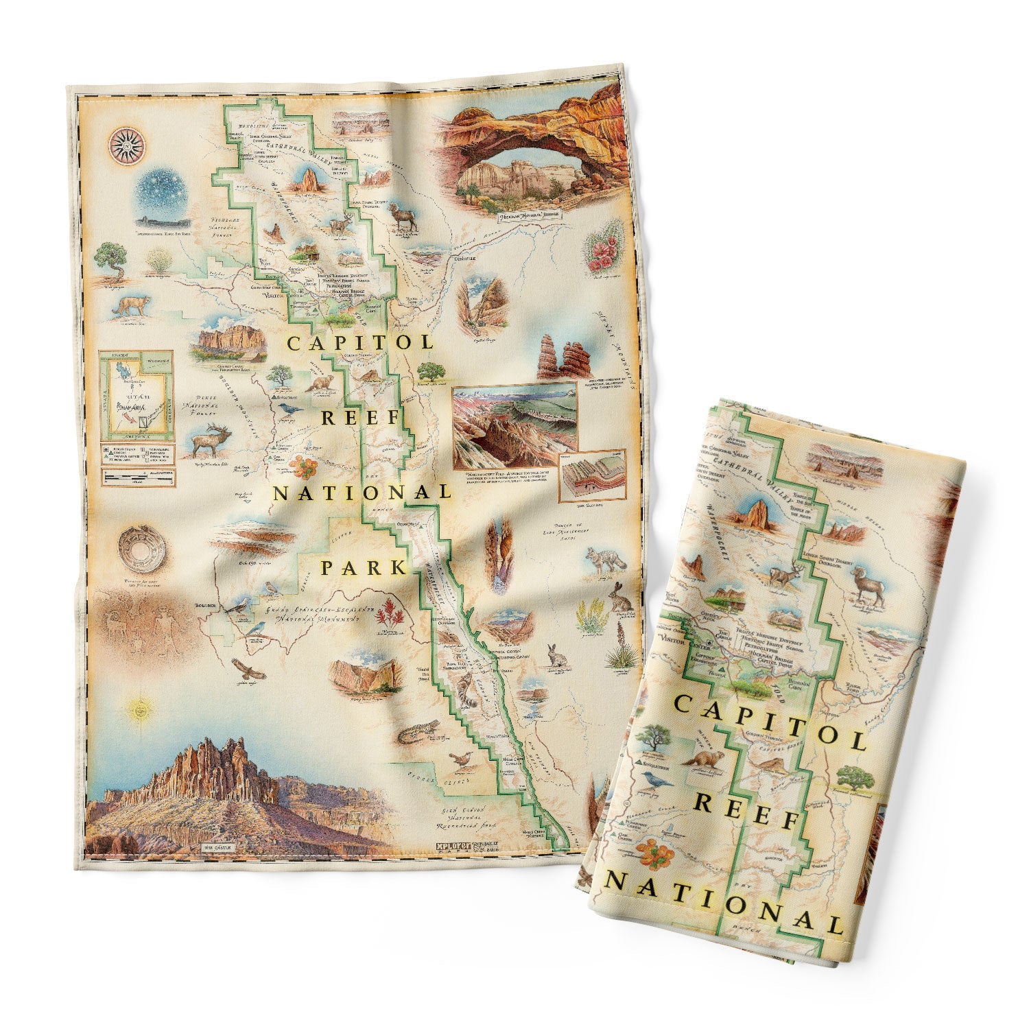 Utah's Capitol Reef National Park Kitchen Dish Towels in earth tones. Featuring Claret Cup Cactus, Narrowleaf Yucca, Prince's Plume, and the Two-Needle Pinyon Pine. Detailed depictions of landmarks and geographic wonders like the Lower Muley Twist Canyon, Capitol Gorge, and Hickman Natural Bridge.