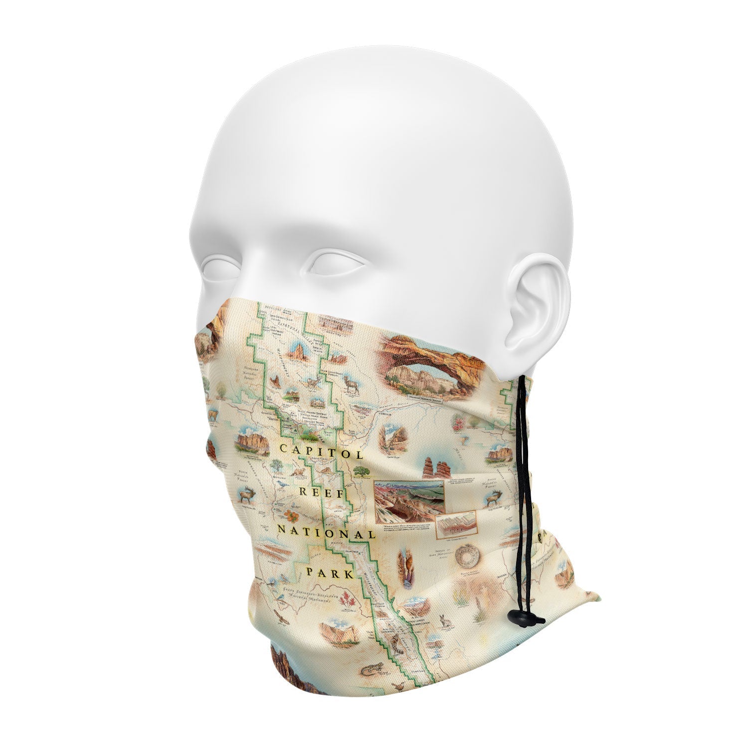 Utah's Capitol Reef National Park face and neck gaiters in earth tones. Featuring Claret Cup Cactus, Narrowleaf Yucca, Prince's Plume, and the Two-Needle Pinyon Pine. Detailed depictions of landmarks and geographic wonders like the Lower Muley Twist Canyon, Capitol Gorge, and Hickman Natural Bridge.