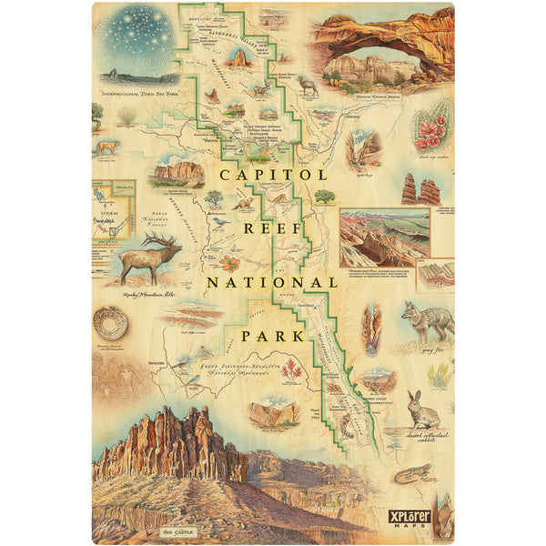 Utah's Capitol Reef National Park Map wood sign in earth tones. Featuring Claret Cup Cactus, Narrowleaf Yucca, Prince's Plume, and the Two-Needle Pinyon Pine. Detailed depictions of landmarks and geographic wonders like the Lower Muley Twist Canyon, Capitol Gorge, and Hickman Natural Bridge.