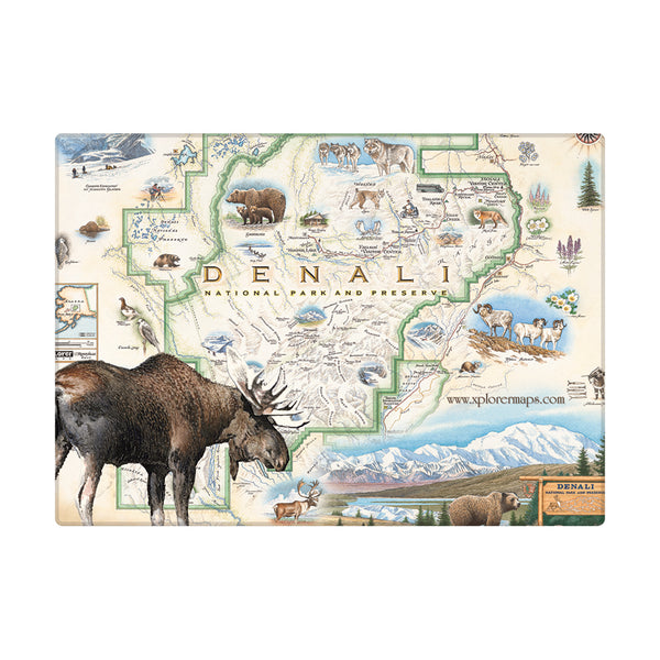 Denali National Park Map magnet with a large feature of a moose.