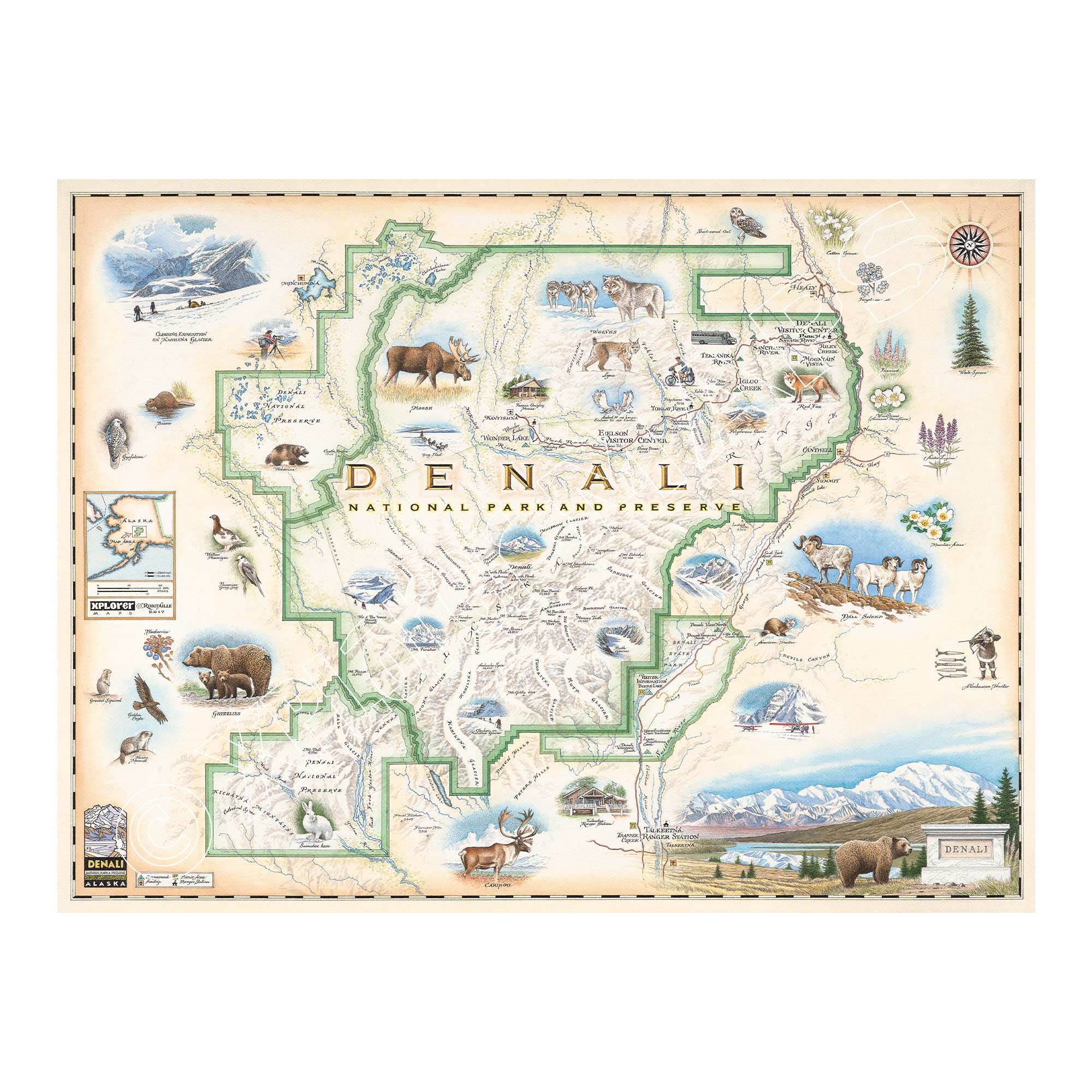 Denali National Park hand-drawn map in earth tones of beige and green. Featuring illustrations of the major flora and fauna found in the park, such as grizzly bears, wolverines, moose, lynx, Dall sheep, and many more. Major attractions are illustrated on the map, like the Talkeetna Visitor Center, Denali Visitor Center, Ruth Glacier, and Kahiltna Glacier. Measures 24x18.