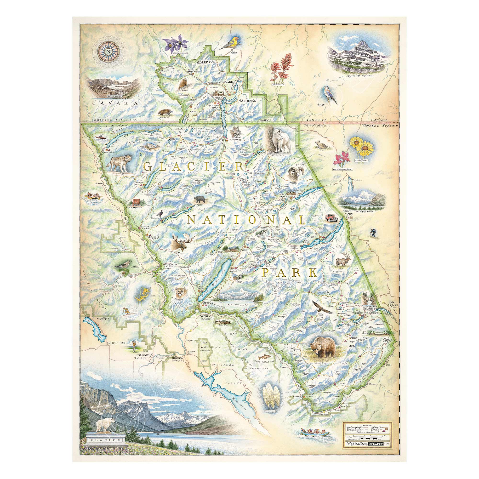 Glacier National Park hand-drawn map in earth tones of beige and blue. The map features places in the park such as Logan Pass, Lake McDonald Lodge, Many Glacier Lodge, Two Medicine, Glacier Park Lodge, and the Going-to-the-sun road. Flora and fauna include grizzly bear, elk, moose, mountain goat, and mountain lion. Measures 18x24.