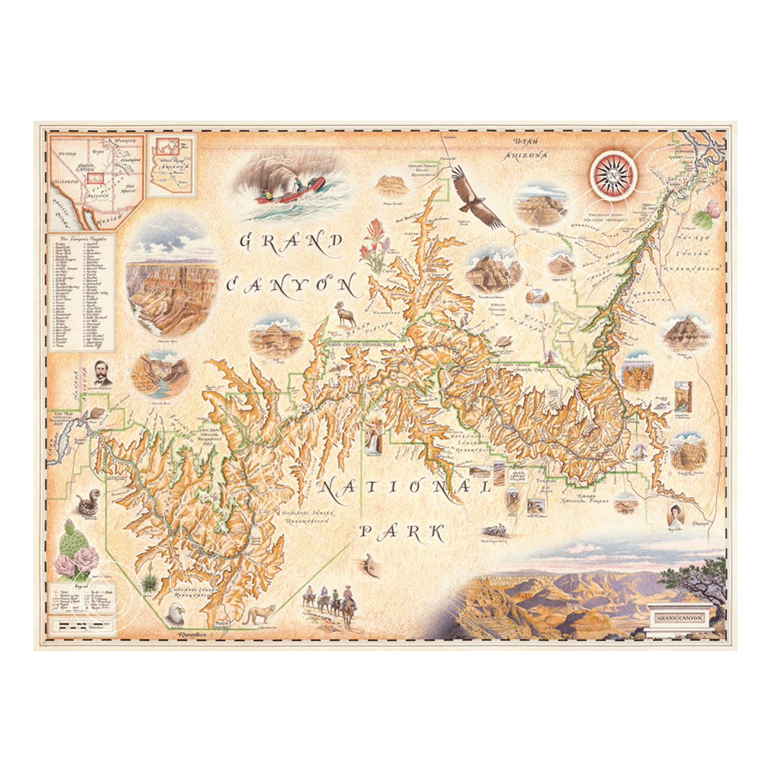 Grand Canyon National Park hand-drawn map in earth tones of beige, brown, and orange. Located in Arizona, just south of Utah and east Nevada. The map features illustrations of activities like whitewater rafting and mule riding, along tortoise, California Condor, and Beavertail Cactus. Measures 24x18.