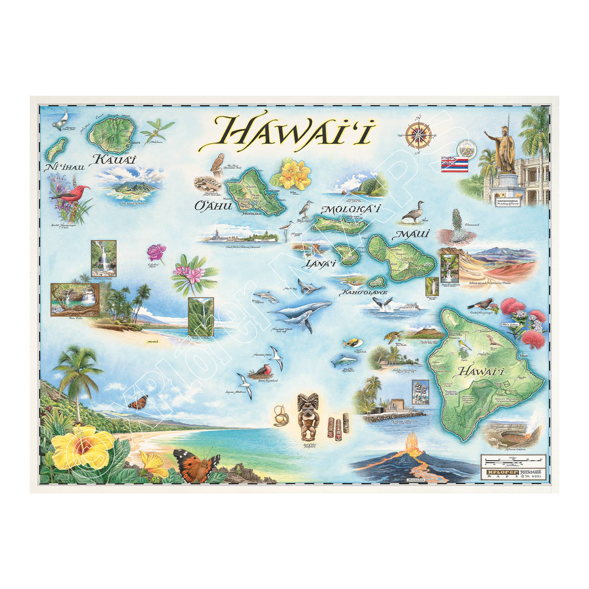 Hawaii state hand-drawn map in earth tones blue and green. The map features the islands of Hawaii, Maui, Kaho'olawe, Lanai, Molokai, Oahu, Kauai, and Ni'ihau. Flora and fauna of islands include, the Scarlet Honeycreeper, Lokelani Rose, and green sea turtles. Other illustrations include statue of King Kamehameha, Pearl Harbor National Memorial, and Mauna Loa erupting. Measures 24x18.