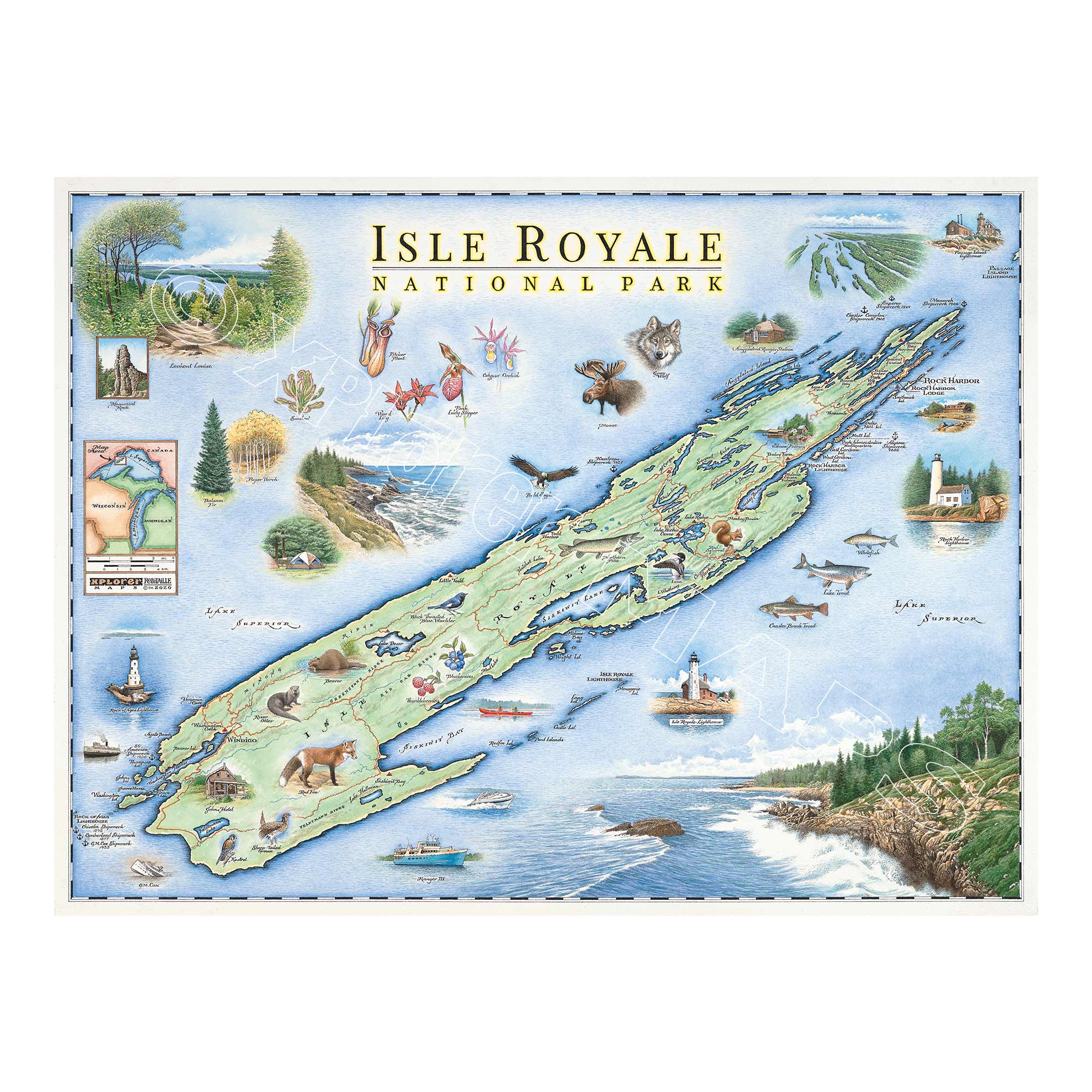 Isle Royale National Park hand-drawn map in earth tones blue and green. Isle Royale is an island in Lake Superior off the coasts of Minnesota and Michigan. The map features flora and fauna such wolf, moose, Pink Lady Slippers, and Thimbleberries. Other illustrations include Lookout Louise, Rock of Ages Lighthouse, and the Rocky Harbor Lodge. Measures 24x18.