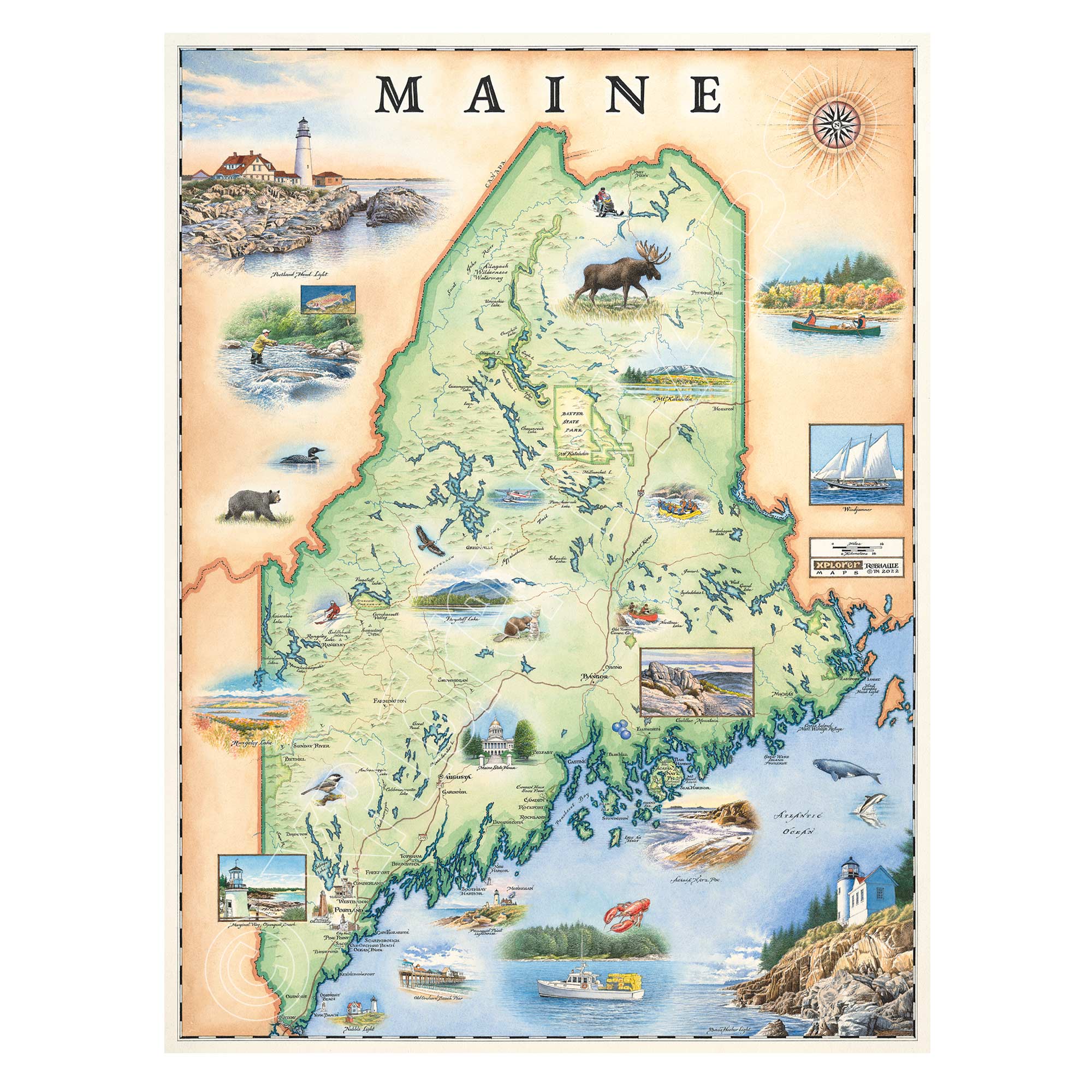Maine state hand-drawn map in earth tones brown and green. The map features illustrations of people whitewater rafting, fishing, and canoeing. Other illustrations include Cadillac Mountain, Acadia National Park, and Rangeley Lake. Flora and fauna include beaver, lobster, and moose. Measures 18x24.