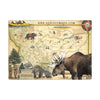 Montana Magnets