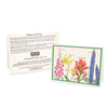 Montana Wildflower Blank Greeting Card featuring Fireweed, Glacier Lily, Paintbrush, and Lupine.