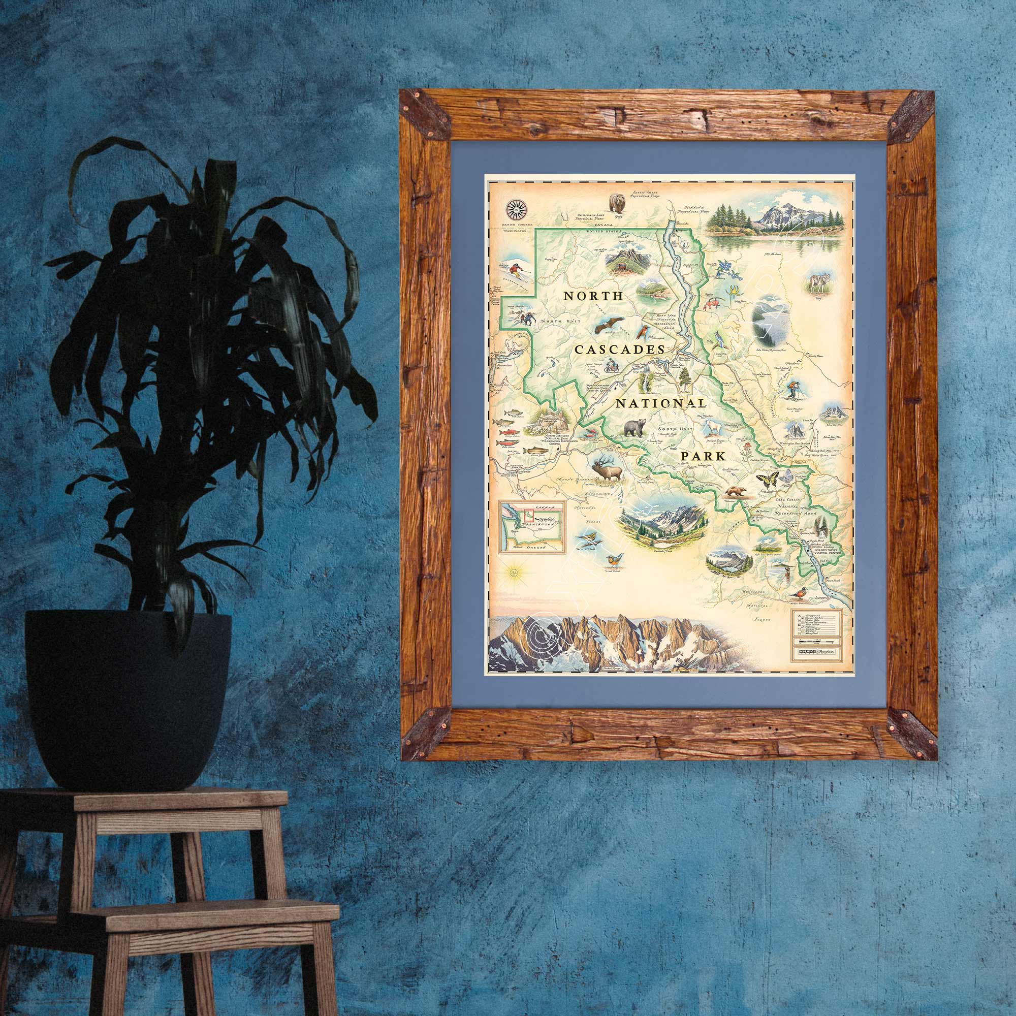 North Cascades National Park hand-drawn map hanging on a blue wall in a Montana Pine Frame and blue mat. There is a plant in a corner. 