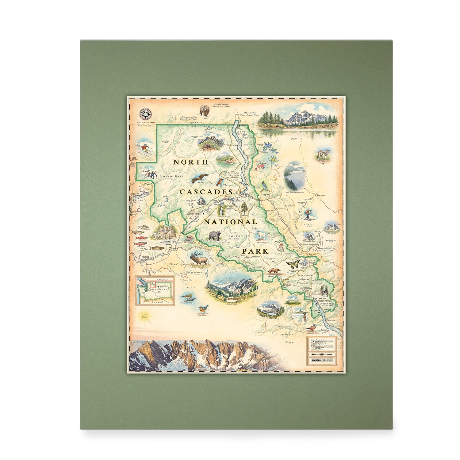 North Cascades National Park Mini-Map by Xplorer Maps. in earth tones beige and green. The map features illustrations of flora and fauna such as black bears, elk, wolverine, glacier lilies, and huckleberries. Other illustrations include Pickett Range, Cascade Pass, and Lake Chelan Recreation area.