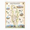 Red Rock Canyon National Recreation Area hand-drawn map in earth tones, beige and green. The map features illustrations of places such as Mt. Willson, Rainbow Mountain, Bridge Mountain, and Spring Mountain Ranch. Flora and fauna include a red tail hawk, desert Bighorn, Globemallow, Joshua tree, and Prickly pear cactus. Measures 18x24."