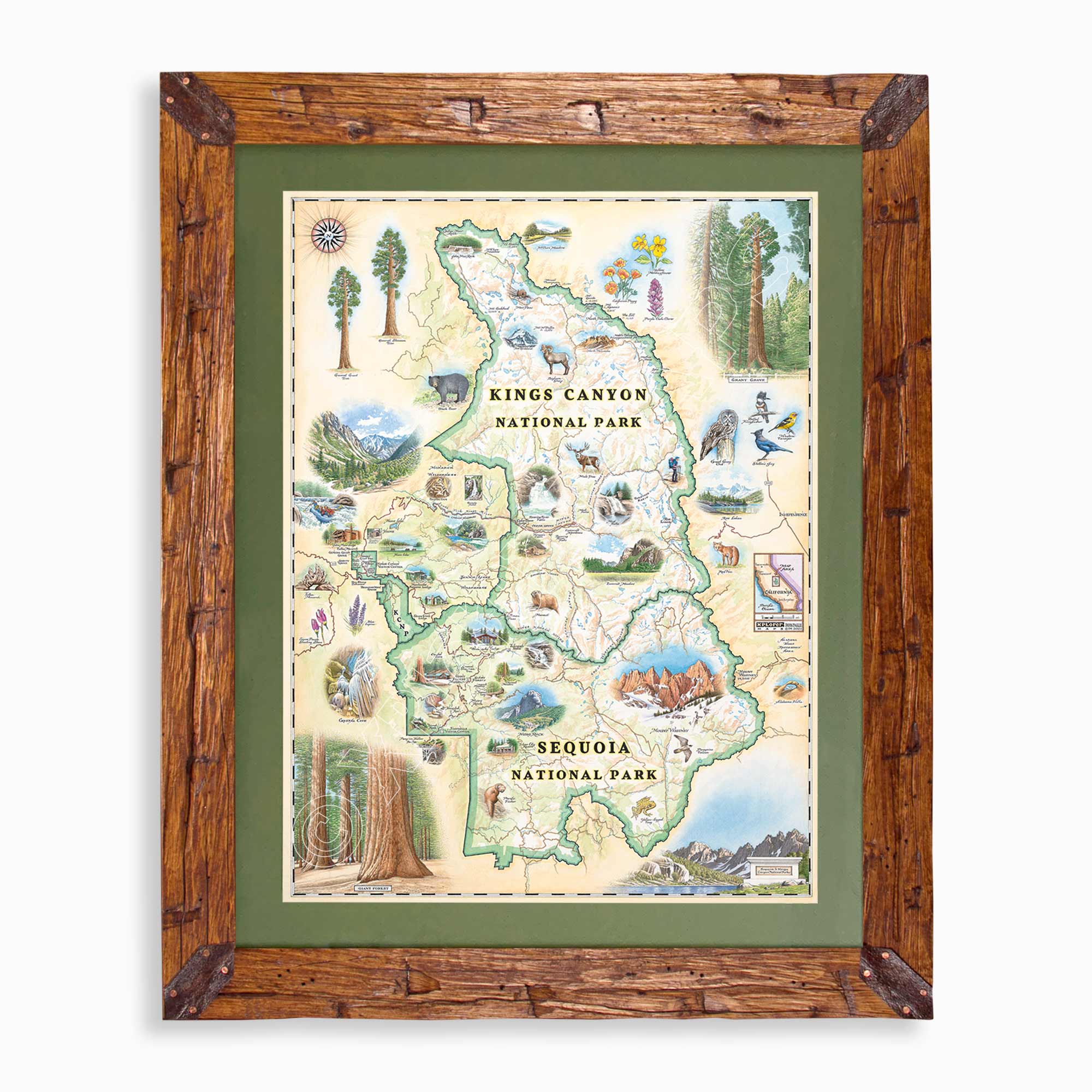 Sequoia & Kings Canyon National Parks hand-drawn map in earth tones blues and greens. The map print is framed in Montana hand-scraped pine with a green mat.