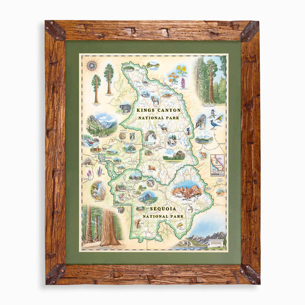 Sequoia & Kings Canyon National Parks hand-drawn map in earth tones blues and greens. The map print is framed in Montana hand-scraped pine with a green mat.