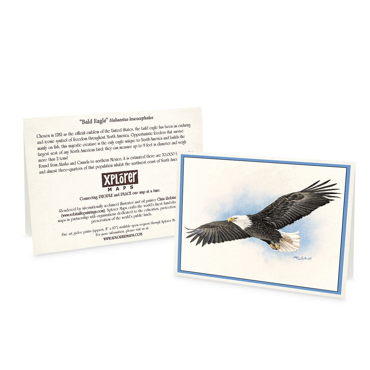 Wildlife Notecards - Sets of 6