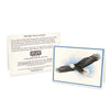 Wildlife Notecards - Sets of 6