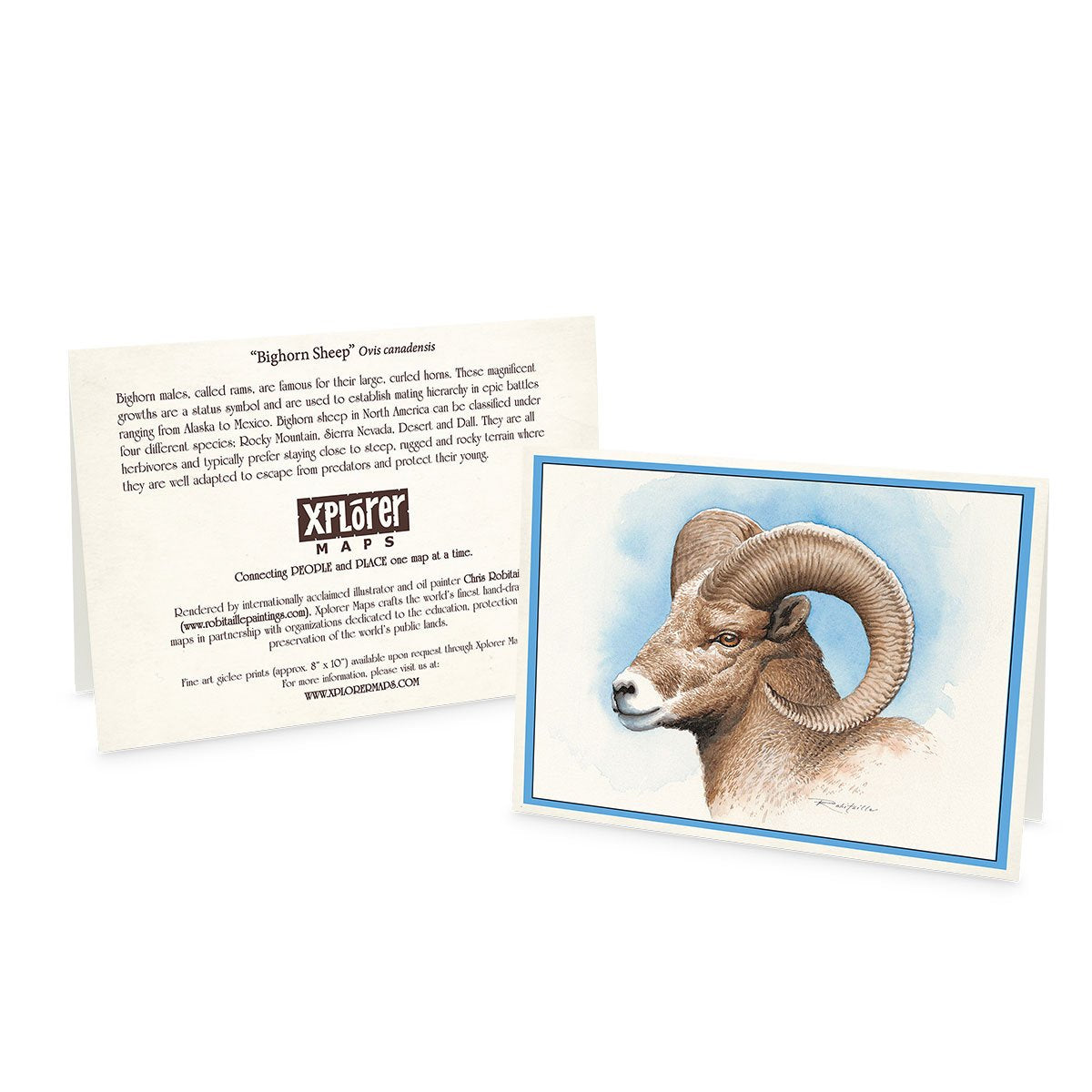 Wildlife Notecards - Sets of 6