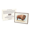 Wildlife Notecards - Sets of 6