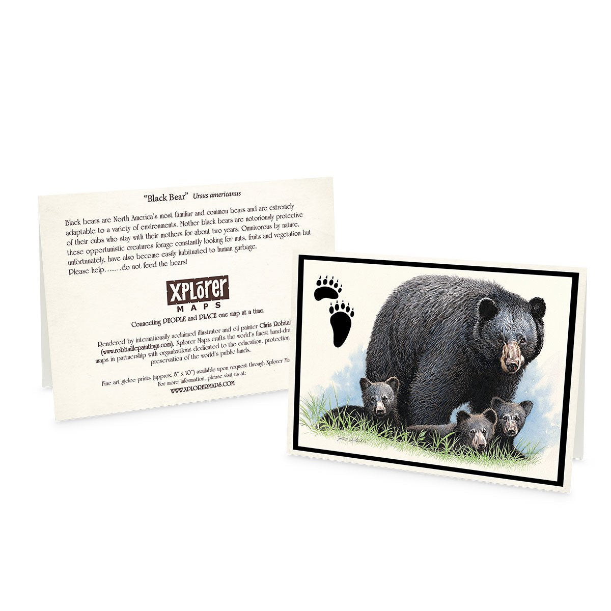 Wildlife Notecards - Sets of 6