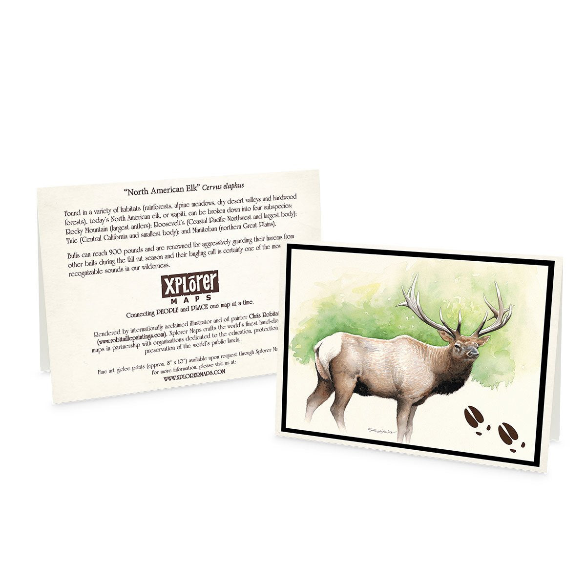 Wildlife Notecards - Sets of 6