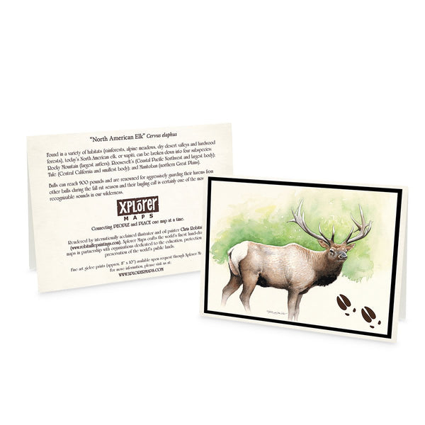 Wildlife Notecards - Sets of 6