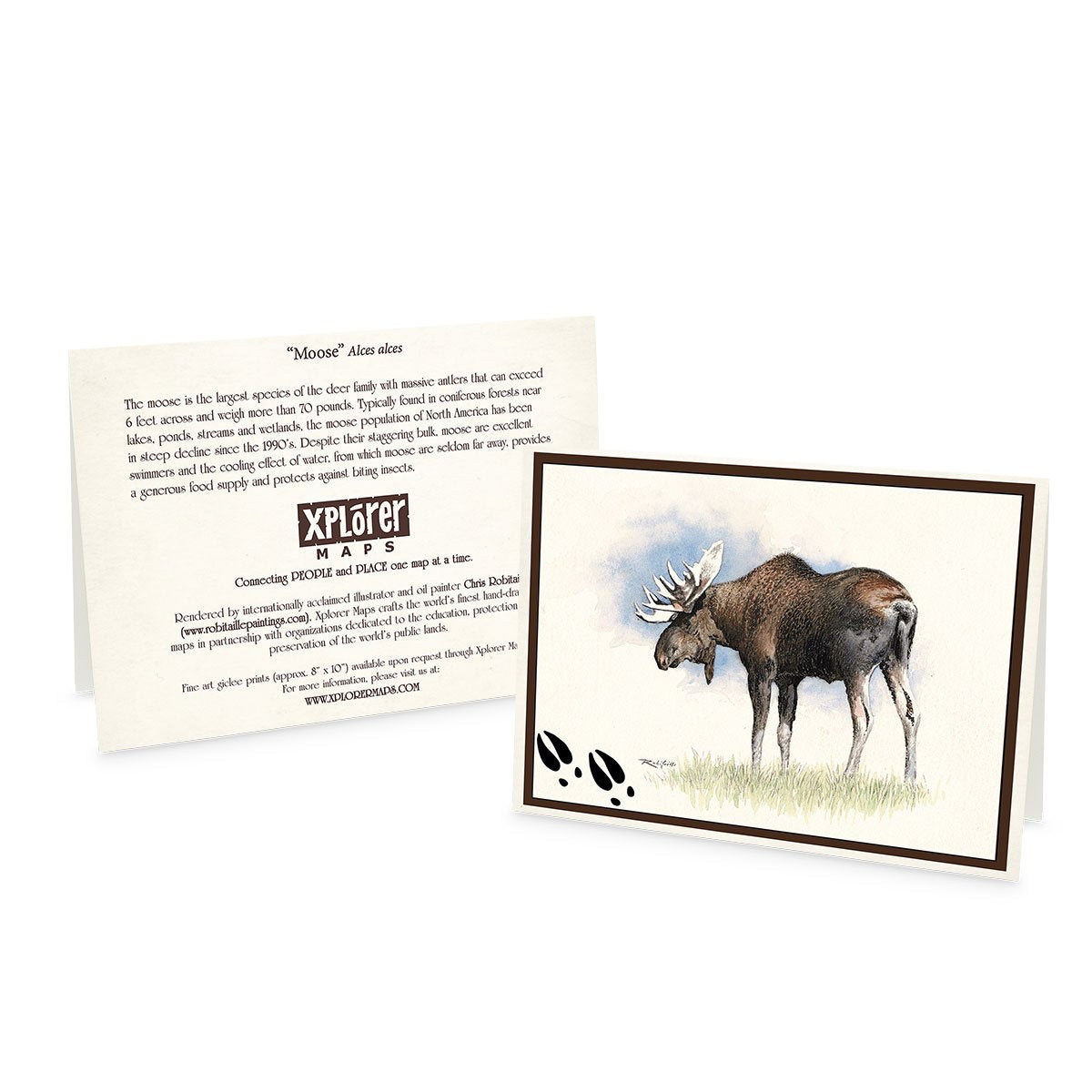 Wildlife Notecards - Sets of 6