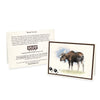 Wildlife Notecards - Sets of 6