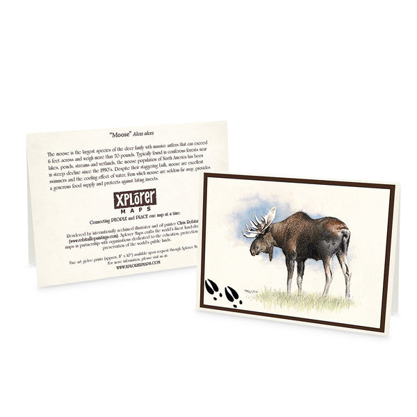 Wildlife Notecards - Sets of 6