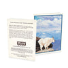 Wildlife Notecards - Sets of 6