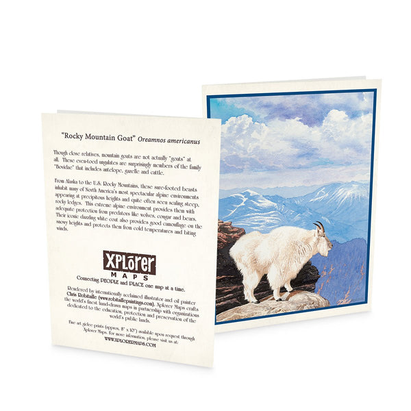 Wildlife Notecards - Sets of 6