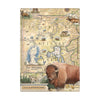 Yellowstone Magnets