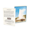 Yellowstone Old Faithful with Bison Blank Notecards - Set of 12 - Xplorer Maps